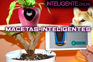 Lee más sobre el artículo Macetas Inteligentes: Lua y Parrot Pot