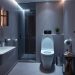 wc inteligente
